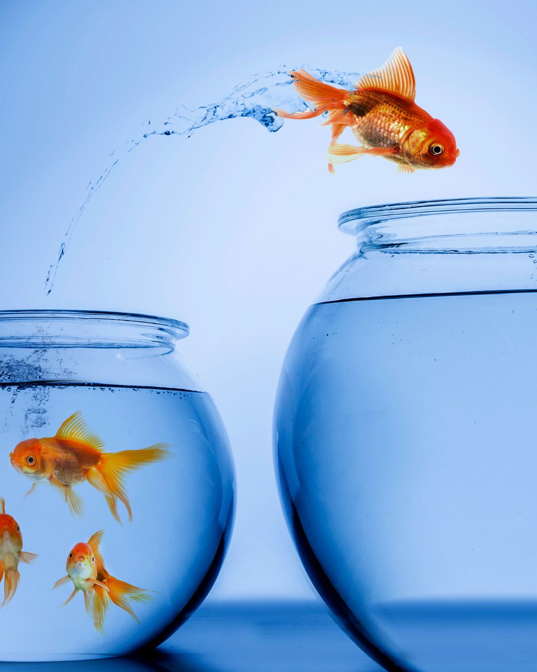 CURSO - Soluciones para la vida cotidiana